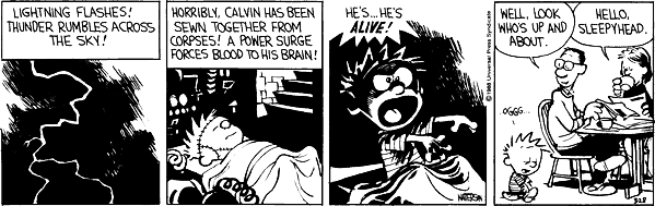 Calvin 46.gif